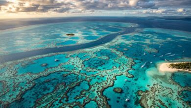 great barrier reef facts aerial view of coral reef system