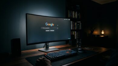 google facts search engine homepage