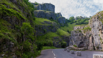 cheddar-gorge