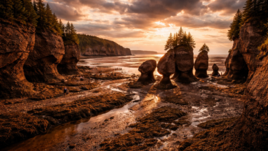 Bay of Fundy facts showing extreme high and low tide difference