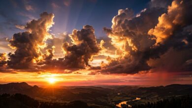 cloud facts fluffy cumulus clouds at sunset