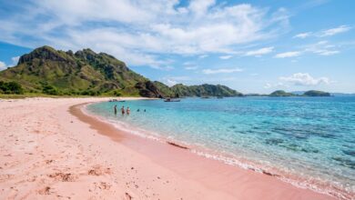 Komodo Island facts featuring pink sand beach with turquoise water
