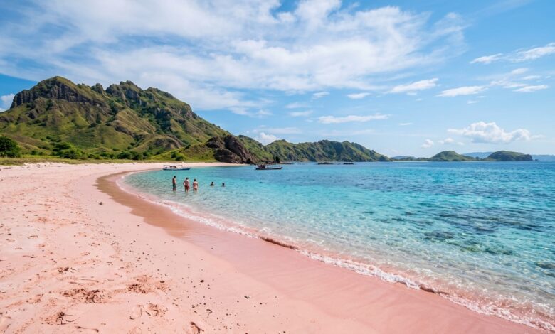 Komodo Island facts featuring pink sand beach with turquoise water