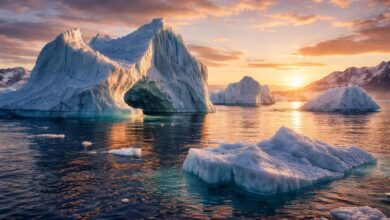 iceberg facts polar ocean with icebergs